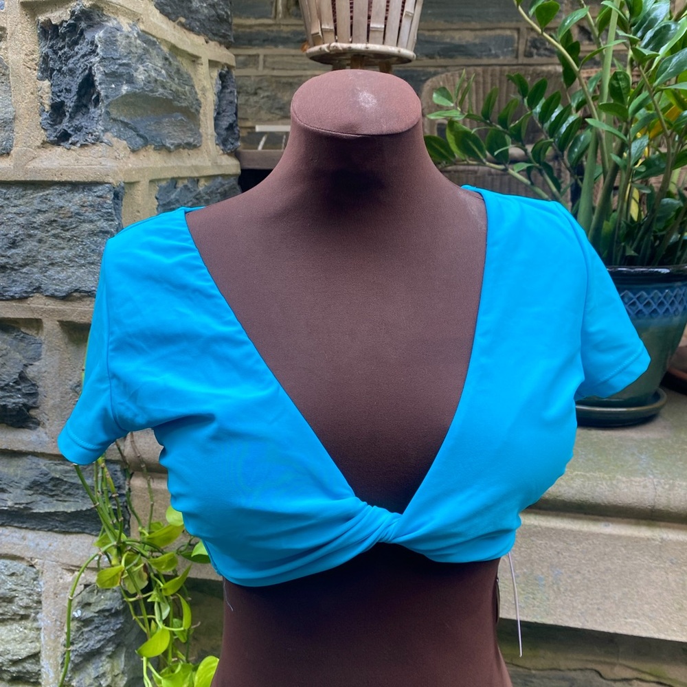 NWT Target Wild Fable blue bikini top with short sleeves & twist size L